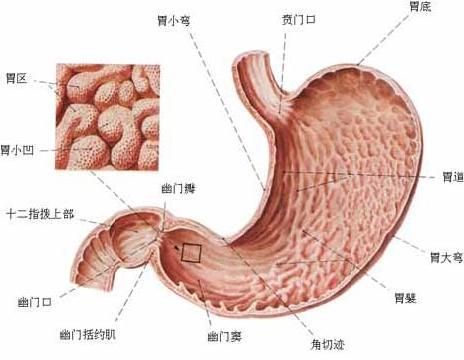 点击图片进入下一页